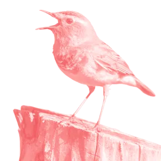 roter Vogel